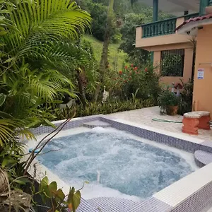 Flor Villa Los Platanos